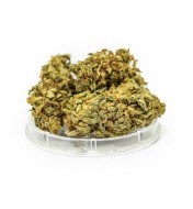 Gorilla Glue - CBD Weed 4.7%