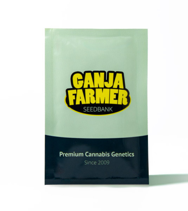 Fruit Cookies CBD