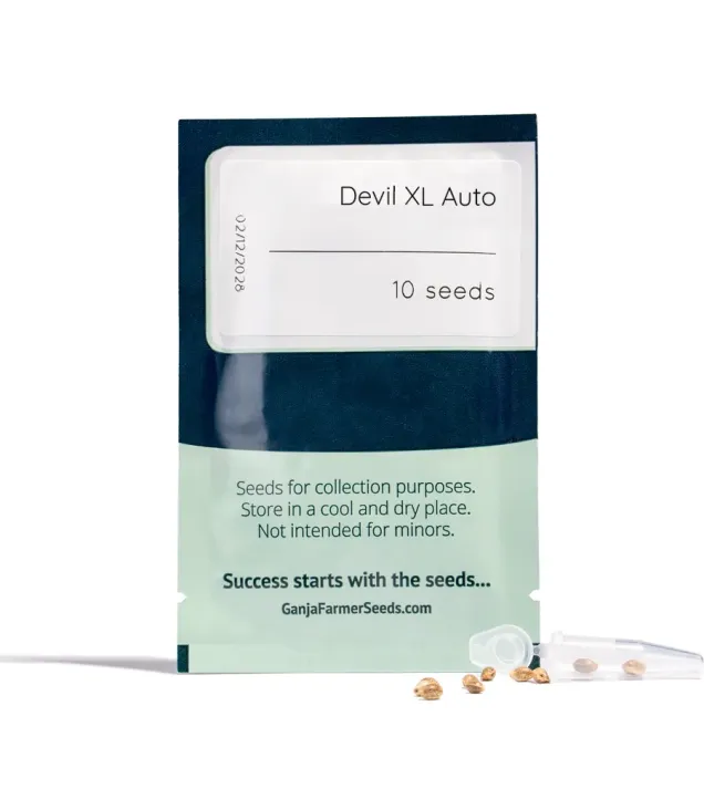Devil XL Auto