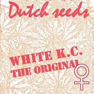 White K.C.  
