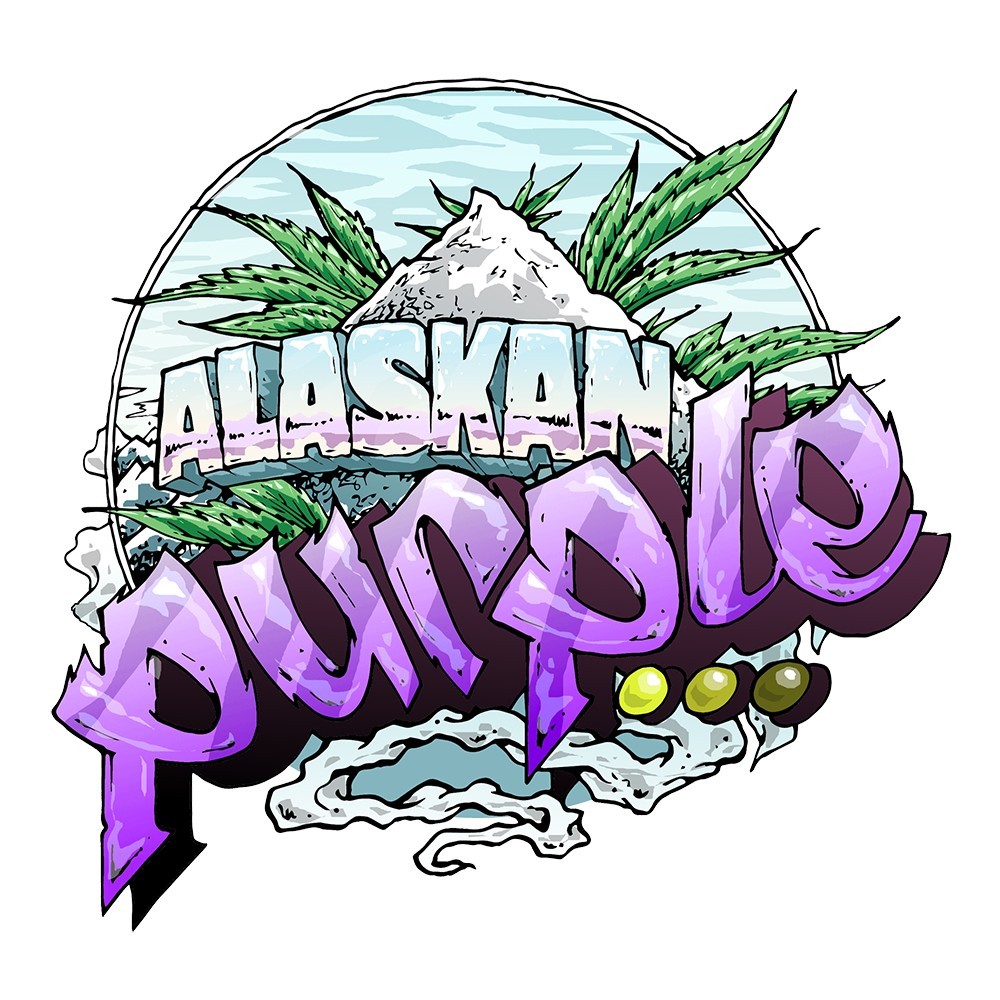 Alaskan Purple Feminized
