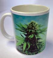 Big Seedbank Coffee Mug
