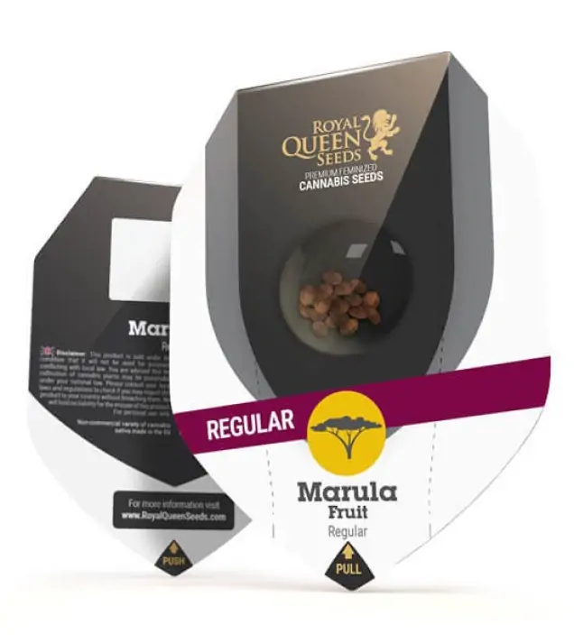 Marula Fruit Regular