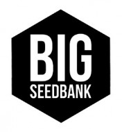 Big Seedbank LOGO Sticker