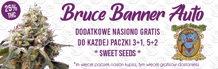 Promocja Bruce Banner Auto