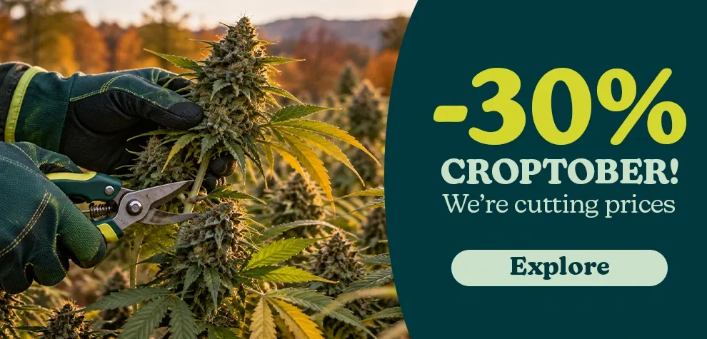 Croptober
