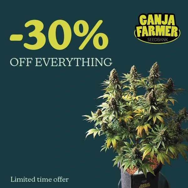 Ganja Farmer
