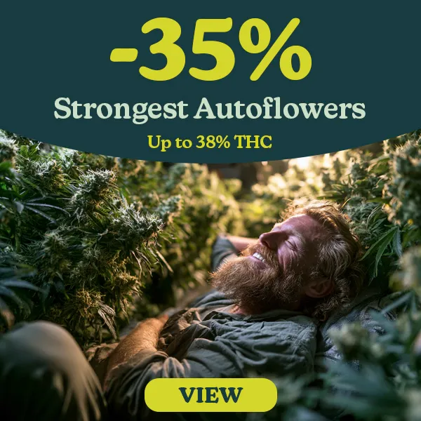 Strongest Autoflowers