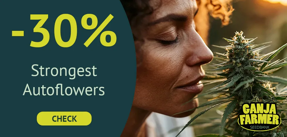 Strongest Autoflowers