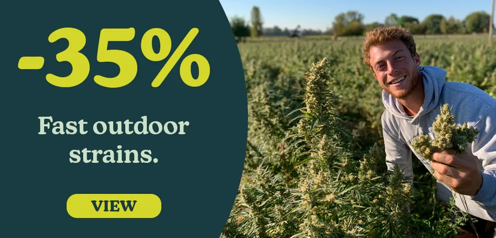 -35% Fast Outdoor Strains