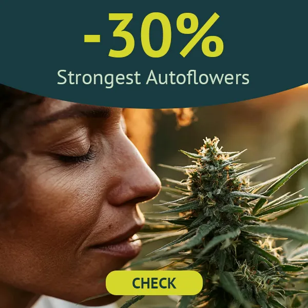 Strongest Autoflowers