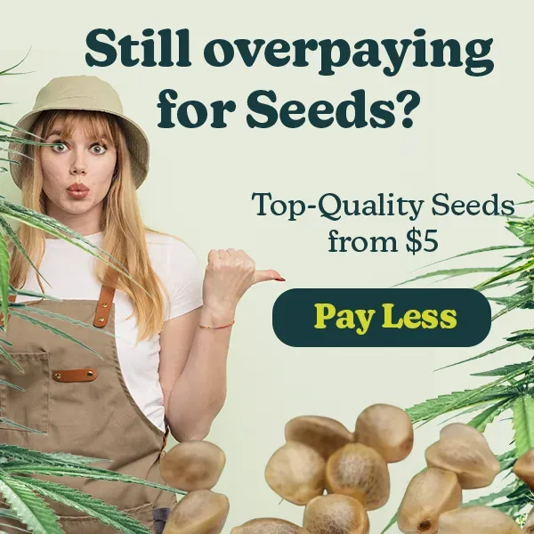Cheap seeds