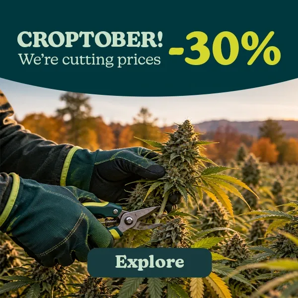 Croptober
