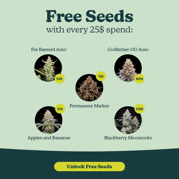 Freebies