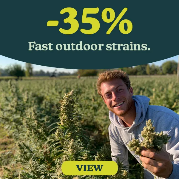 -35% Fast Outdoor Strains