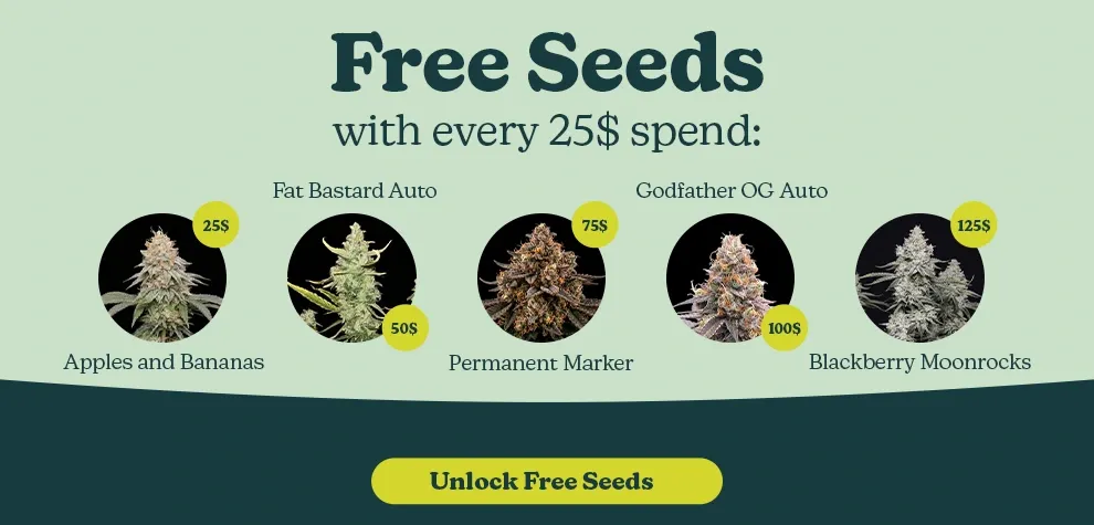 Freebies