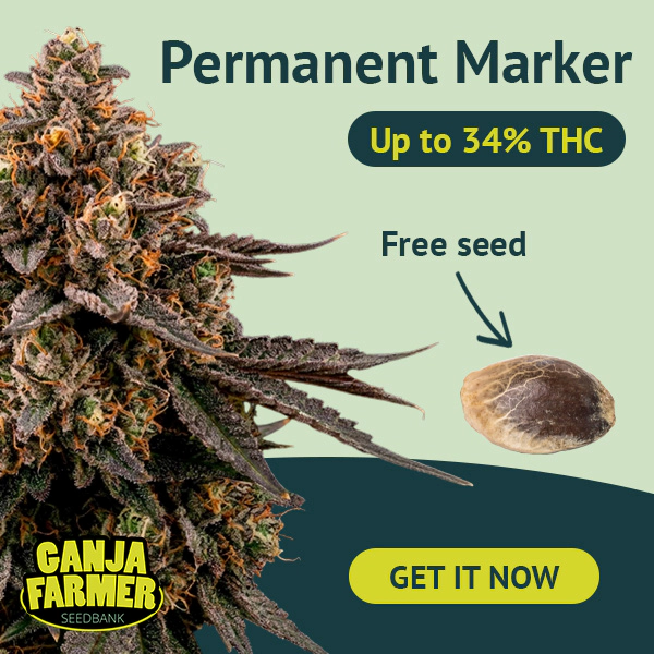 Dołącz do newslettera