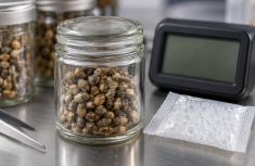 Cannabis Seed Moisture Content, Storage, and Viability