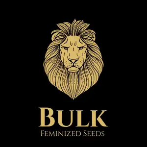 Bulk Feminized Seeds